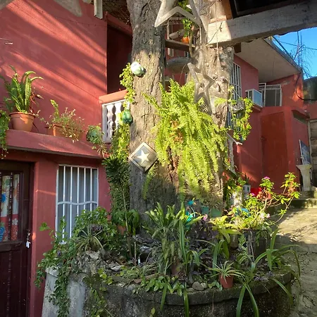 Habitacion Casa Zoila